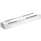REAH, Sine Rodless Cylinder, High Precision Guide